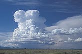 Energetic growth in a boiling Towering Cumulus 