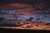 Decaying Cumulus with scraps of silhouetted Altocumulus at sunset
