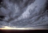 Cloud types, Acc: a sheet of thick Altocumulus Castellanus clouds