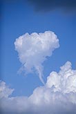 A rare shear funnel in a small Cumulus cloud