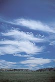 Densely tufted Cirrus clouds on a carefree summer day