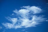 Abstract sky: dense tufted Cirrus cloud patches