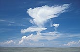 Process of anvil cloud formation: early convection over mountains