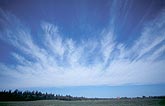 Cloud type, Ci: a band of Cirrus clouds with feathery plumes