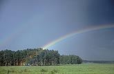 A rainbow arcs in front of forest and is adorned with a secondary bow