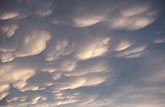 Mammatus clouds with elongated pouches