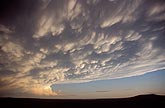 What causes Mammatus clouds: fallout and downdrafts