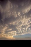 A powerful storm anvil cloud with silvery Mammatus pouches