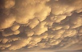 Clusters of Mammatus clouds in a dense complex arrangement