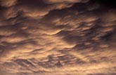 Cloud texture abstract: smooth Mammatus pouches in evening light