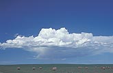 Structure of a weak elevated convection shower cloud