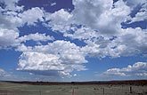 Scattered woolly Cumulus clouds