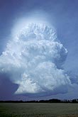 A tall, compact storm cloud with bulges on the column of rising air