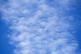 Abstract of cloud texture: a swath of puffy clouds