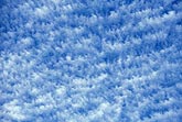 A lively but gentle abstract sky of Floccus clouds in tiny puffs