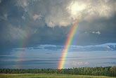 A bright rainbow spreads renewed hope over forest