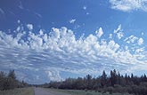 An excited scattering of Altocumulus clouds 