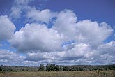 Cloud types, Cu: Cumulus clouds of moderate size (Mediocris)