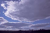 Stratocumulus clouds from the spreading out of Cumulus (Cu)
