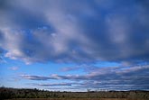Cloud types, Sc: Stratocumulus clouds aligned with the wind