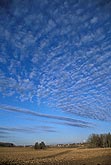 A broken sheet of Altocumulus in a pure blue sky