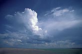 Puffy Cumulus Congestus clouds shoot high into the sky 