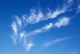 Carefree feathers of Cirrus with delicate fallstreaks in a spirited dance