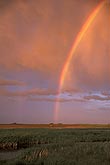 Gold grain at the end of a brilliant rainbow over a prairie farm