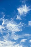 Excited Cirrus cloud tufts frolicking in a deep blue sky