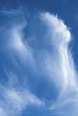 Cirrus fallstreak: things are looking up in this abstract 