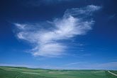 Cloud types, Ci: isolated Cirrus clouds 