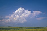 Birth of a thunderstorm cloud: a sustained, organized updraft