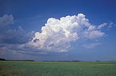 Thunderstorm cloud evolution process: successively taller towers