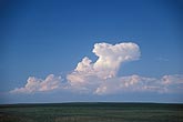A Towering Cumulus rises above the crowd as it boils up 