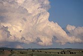 Bubbling cloud bank forced up by weak cold front