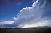 Convective cloud elements are mapped from birth to death of a storm