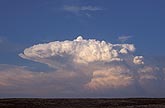 A young storm cloud with a single tower that overshoots the anvil