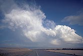 Cause and effect relationships in clouds: convection from outflow