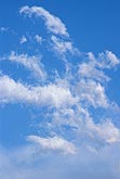 Excited cloud fragments jump for joy in an azure sky