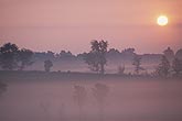 Fog cloaks fields in mystery in the early morning sun