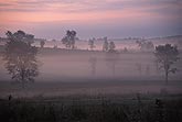 Dawn light and ground fog create an enchanted rural landscape