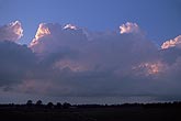 A dusky pink bank of boiling Cumulus Congestus clouds