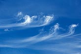 Mares’ tails Cirrus clouds etch the sky with delicate ice-crystal trails