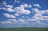 Cloud types, Cu: typical fair weather Cumulus Humilis clouds