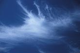 Abstract cloudscape: a wispy tuft of cloud explodes
