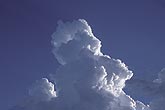 The top of a Towering Cumulus as it tries to reach for the sky
