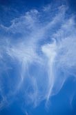 Abstract: a ballet of wispy clouds twirls in a blue sky