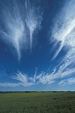 Joyous Cirrus fallstreaks in a deep blue sky