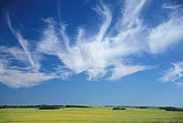 Cloud types, Ci: sprawling plumes of Cirrus clouds like brushed hair
