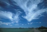 Cloud types, Ci: elegant Cirrus cloud plumes, like brush strokes